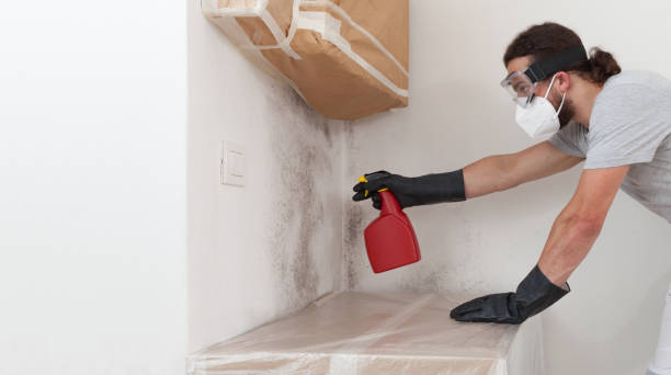 Professional Crawl Space Mold Removal technician working in Schoolcraft, MI