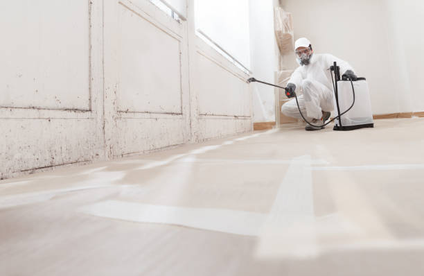 24/7 Emergency Crawl Space Mold Removal experts in Schoolcraft, MI